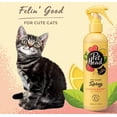 thumbnail image 3 of Pet Head Dry Clean Spray for Cats Lemonberry with Lemon Oil [Cat Shampoo and Cologne, Cat Supplies] 30.3 oz (3 x 10.1 oz), 3 of 5