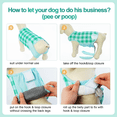 thumbnail image 3 of Kuoser Pet Recovery Suit for Dogs Cats After Surgery Breathable Onesie Post Surgery Shirt Professional Pet Recovery Shirt for Puppy, Wound Protective Clothes for Little Animals, 3 of 7
