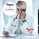 thumbnail image 2 of WORGEOUS Modelo médico de aterosclerosis Modelo anatómico de vasos sanguíneos Modelo cardiovascular, 2 of 9