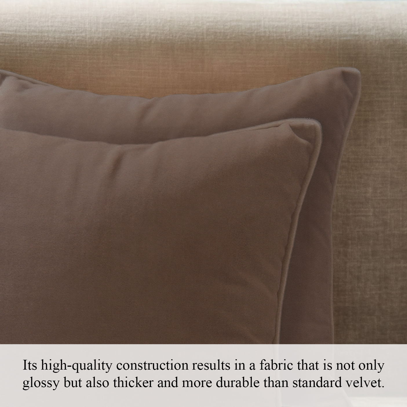 A1HC Set of 2 Luxurious Soft Velvet Throw Pillow Covers Only, 20"x20", Dark Brown, Decorative Cushion Covers with Hidden YKK Zipper for Sofa or Bed