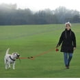 thumbnail image 4 of GHSDFBB Plutus Pet Rope Dog Leash 6ft Long,Traffic Padded Two Handle,Heavy Duty,Reflective Double Handles Lead for Control Safety Training,Leashes for Large Dogs or Medium Dogs,Dual Handles Lead, 4 of 6