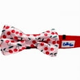 thumbnail image 2 of Cutie Ties Dog Bow Tie, 2 of 3