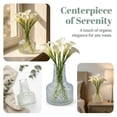thumbnail image 5 of Unique Bargains Glass Vase for Flowers Nordic Decorative Clear 3.5"L x 3.5"W x 5.2"H, 5 of 5