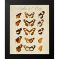 thumbnail image 2 of Vision Studio 15x18 Black Modern Framed Museum Art Print Titled - Papillons de LEurope IV, 2 of 5