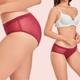 thumbnail image 4 of Women Menstrual Period Briefs Mesh Panel High Absorbency Leak Resistant Flexible Stretch Daily Wear Underwear Wine L, 4 of 5