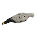 thumbnail image 1 of koolsoo 2X 3D Pigeon Decoy Target Animal Practice Shooting Hunting Bait, 1 of 9