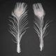 thumbnail image 5 of 50 Pcs/natural White Peacock Feathers In The Eye, 10 To 12 Inches Of The Peacock Feather Wedding De, 5 of 5