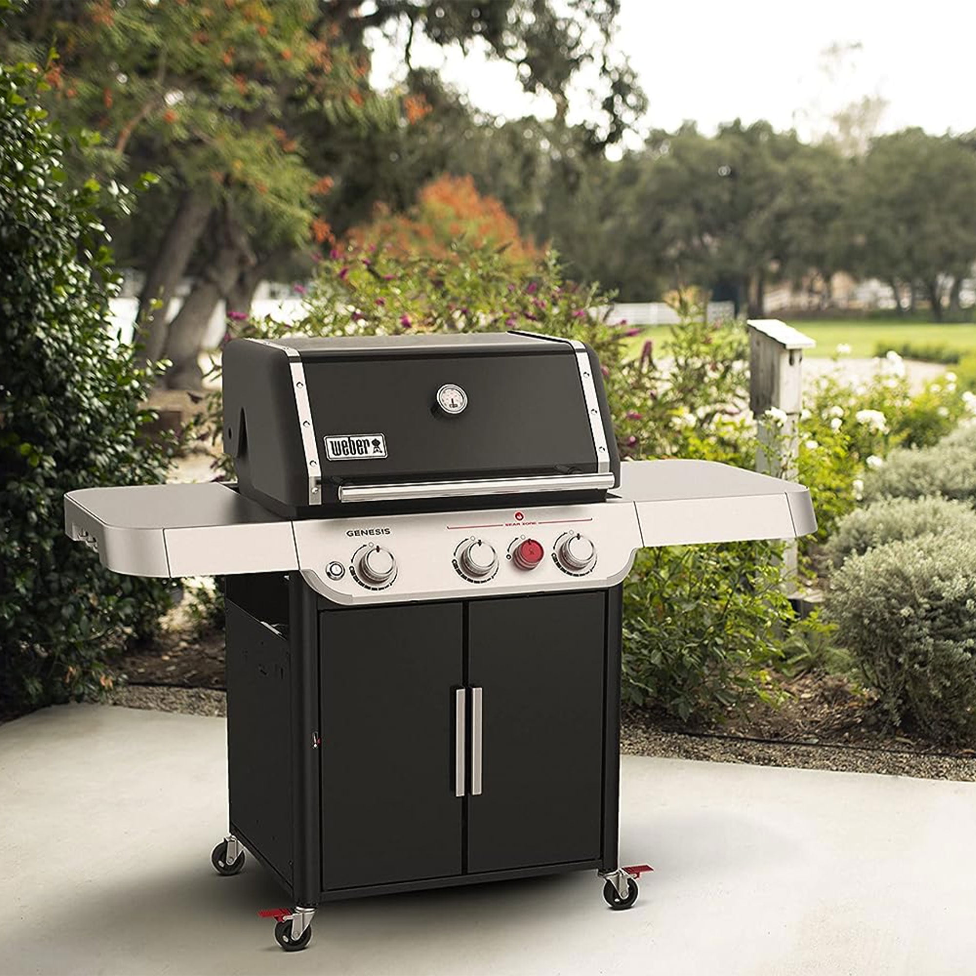 Walmart weber 2025 gas grill