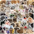 thumbnail image 1 of 50pcs Cat MEME Animals Stickers Toy Graffiti Decals for Kids, 1 of 5