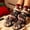 C, variant on QuanTara Knit Christmas Animals Slipper Socks Cute Festive Soft Warm Indoor Socks With Non Slip Grip Soles Stretchy Cozy Holiday Gift For Women Teens Stocking Stuffers