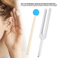 thumbnail image 6 of 432 Hz Tuning Fork Sound Healing Instruments Clinical Grade /Sensory for Healing Musical Ins, 6 of 7