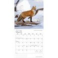 thumbnail image 3 of Wyman Publishing, Canadian Wilderness 2026 Wall Calendar, 3 of 9