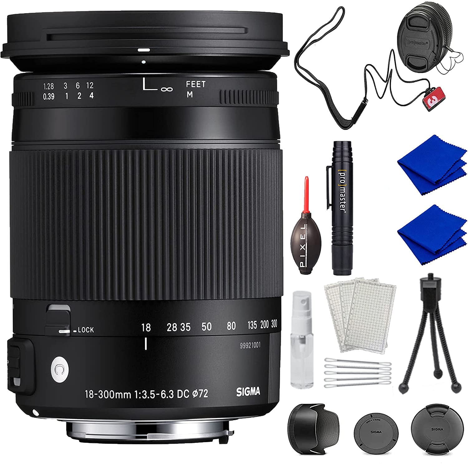 Sigma 18-300mm f/3.5-6.3 DC Macro OS HSM Contemporary Lens for