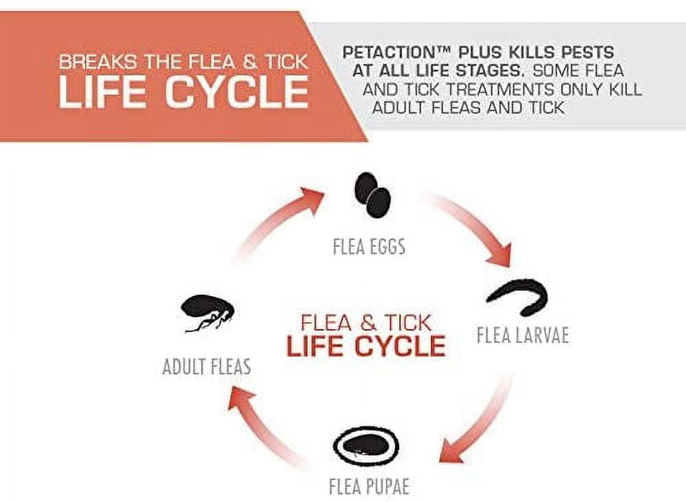 PETACTION PRO Flea & Tick Topical Treatment for Cats Over 1.5 lbs, 3 Count