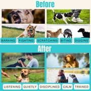 Pawious Dog Bark Deterrent - Ultrasonic Dog Training Device