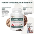 thumbnail image 3 of Supplement Real Mushrooms, cola de pavo, soporte para mascotas para perros, 3 of 9
