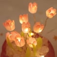 thumbnail image 4 of BiFandian Tulip LED Night Light, DIY Flower Accent Glass Lamp, Romantic Floral Tabletop Decorative Lights for Home Living Room Bedroom and Festival Decor, Ideal Gifts for Mom Friends Lover, 4 of 5