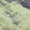 Fern, variant on Addison Rugs Chantille Indoor/Outdoor Transitional Modern Fern Washable Runner Rug, 2'3" x 7'6"