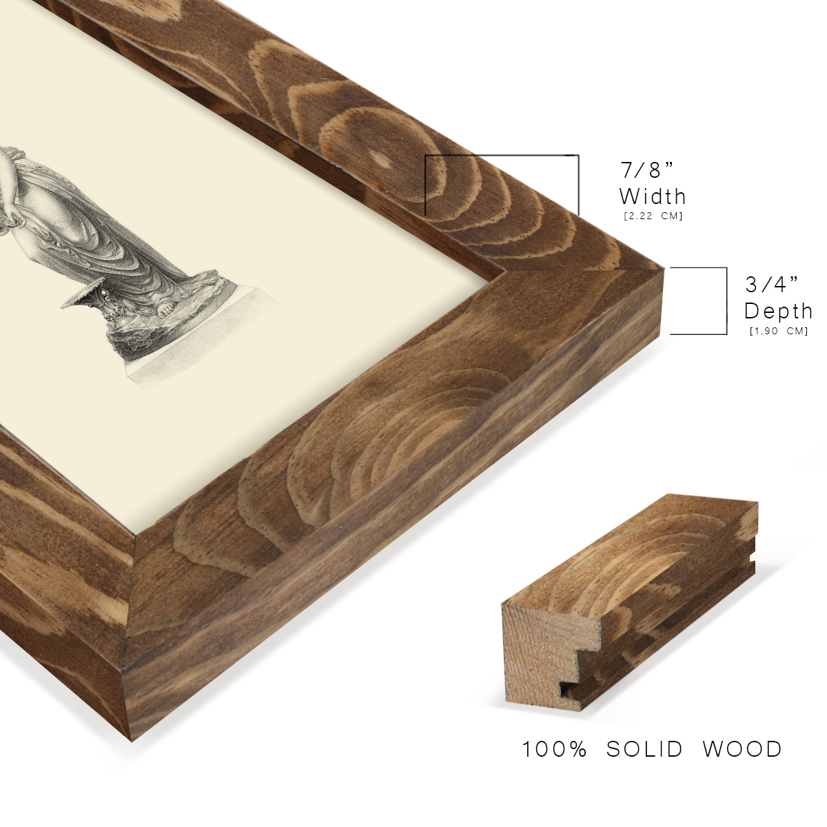 Classical Statuary II -Framed Print w/glass-Walnut