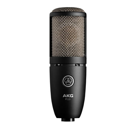 AKG Pro Audio P220 Vocal Condenser Microphone, Black