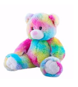 Record Your Own Plush 8 inch Rainbow Bear Ready 2 Love in a Few Easy Steps B 