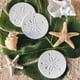 thumbnail image 3 of Set de 4 posavasos para bebidas Kate Aspen Sand Dollar, 10 cm, 3 of 7