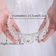 thumbnail image 3 of Coronas de princesa con diamantes de imitación para mujeres y niñas, bodas y fiestas nupciales (plata), 3 of 4