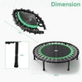 thumbnail image 5 of ZENOVA 40" Rebounder Trampoline for Adults with Bungee Cords, Portable Fitness Exercise Mini Trampoline, Small Rebounder Indoor/Outdoor, Quiet Workout Equipment, 450lbs, Green, 5 of 10