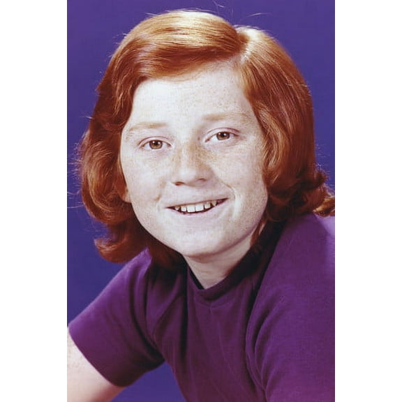 Danny Bonaduce the Partridge Family 24x36 Poster