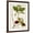 Brown Frame, variant on Art.com Antique Greenery II Art Print, 12" x 16"