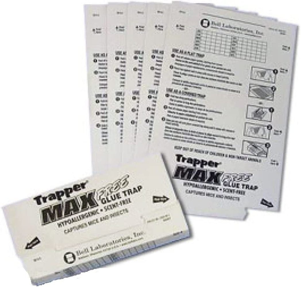 Trapper Max Free Mouse Glue Traps-mice Glue Traps for Catching Mice-(box of 72)