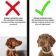 thumbnail image 4 of Etiqueta de mascota Airtag, 4 of 5