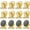 Gold, variant on Grtard 12pack Fridge Magnets Refrigerator Magnets Magnetic Clips Heavy Duty Detailed List Display Paper Fasteners on Home& Office& Teaching
