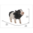 thumbnail image 3 of Hi-Line Gift Ltd 87726-F Baby Pig Standing, 8.7-inch Length, Black and White, Polyresin, 3 of 3