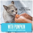 thumbnail image 4 of Tiki Cat Friends Stix, Variety Pack, 1.6 oz. Pouch (12 Count), 4 of 8