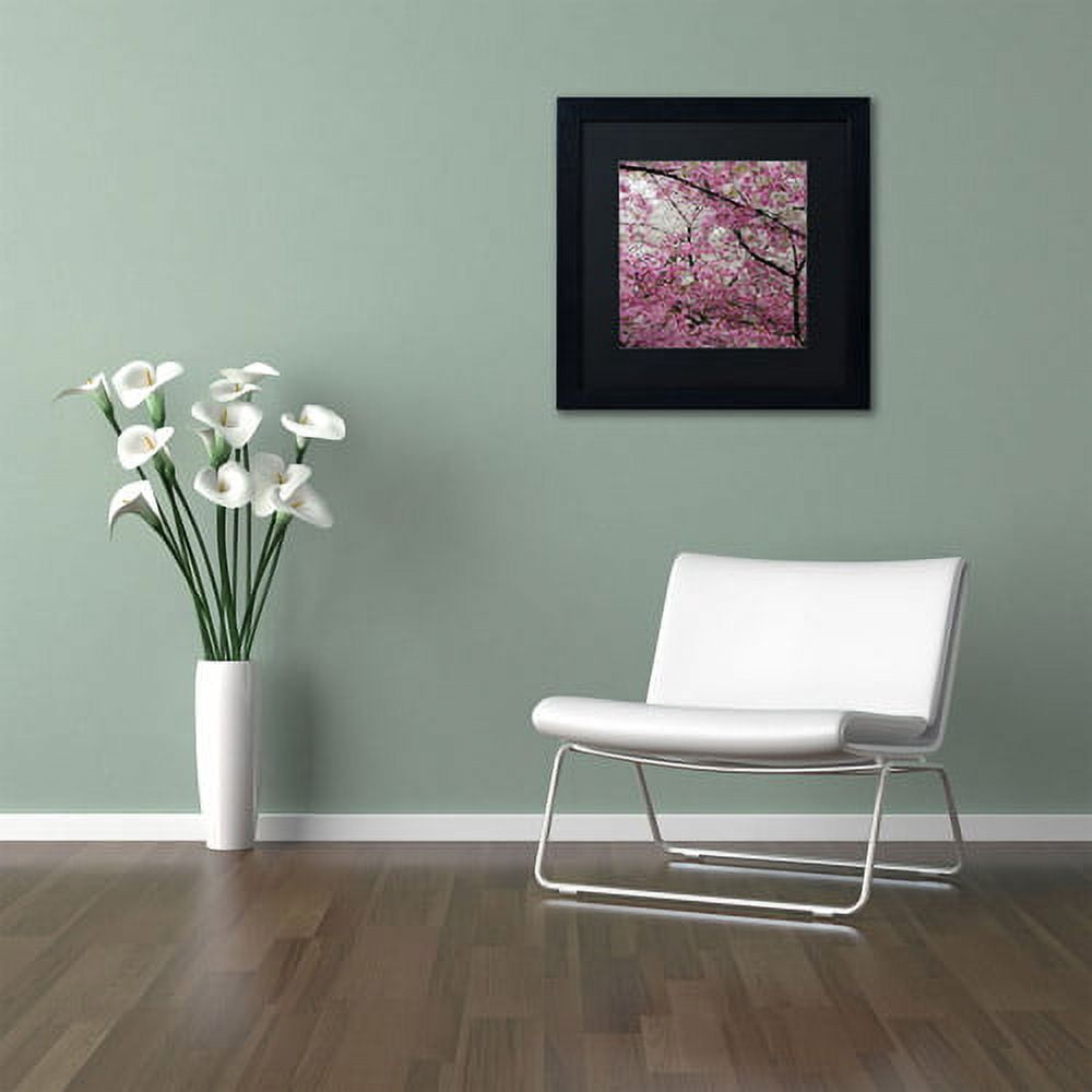 Trademark Fine Art "Cherry Blossoms 2014-3" Canvas Art by CATeyes, Black Matte, Black Frame