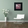 thumbnail image 3 of Trademark Fine Art "Cherry Blossoms 2014-3" Canvas Art by CATeyes, Black Matte, Black Frame, 3 of 3