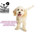 thumbnail image 7 of Wags & Wiggles Deodorizing Dog Shampoo for Smelly Dogs Very Berry Scent 16 oz., 7 of 7
