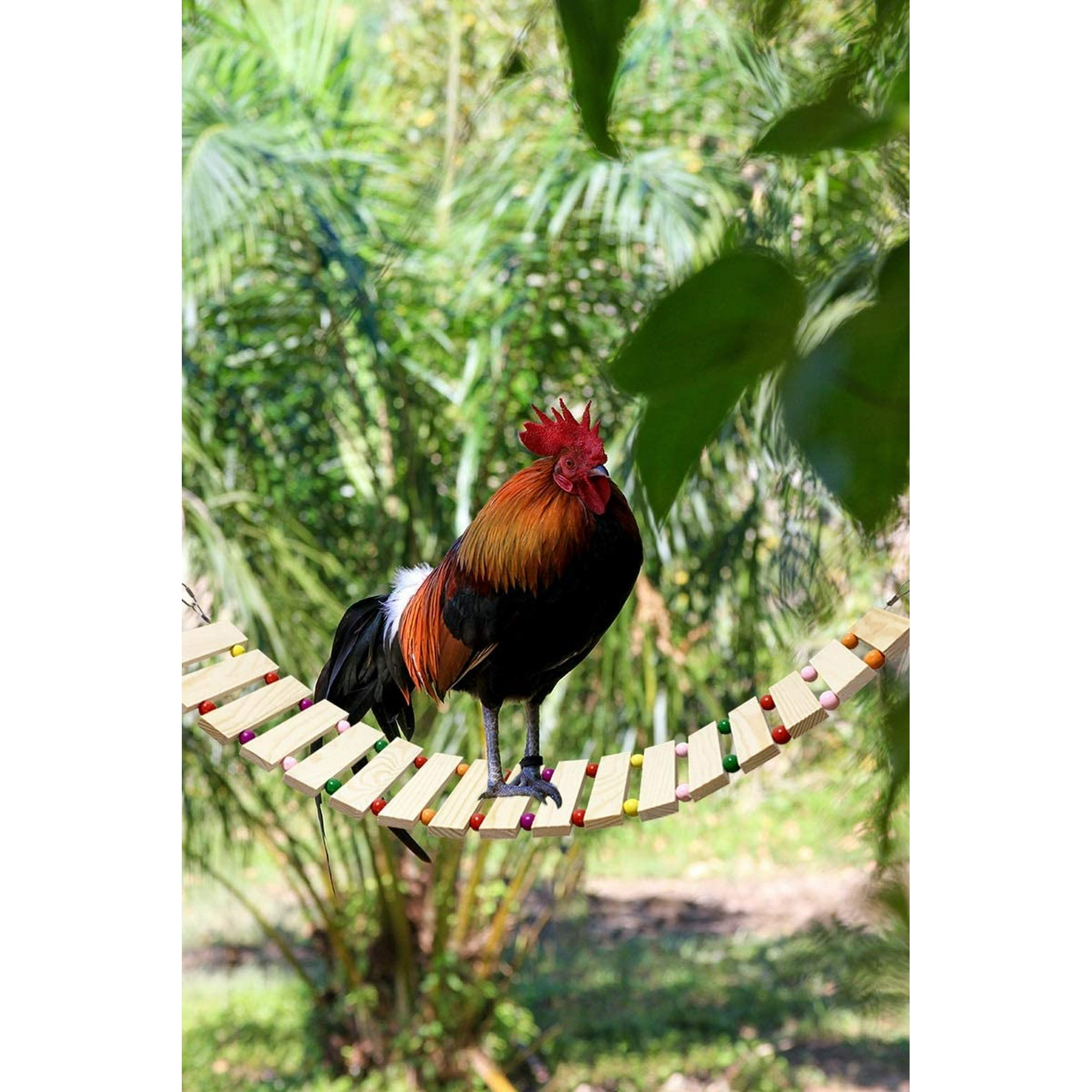 Chicken Coop Toy Hen House Toy Natural Wood Scale Chicken Swing
