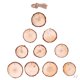 thumbnail image 1 of 20 unids colgantes naturales de madera rebanadas de árbol piezas de madera diy artesanías SM SunniMix Adornos navideños de pino, 1 of 8
