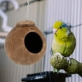 thumbnail image 3 of ODOMY 3 Pcs Parrot Toys,Natural Coconut Bird Cage With Nest Ladder, Swing Climbing Hammock ? Perched Chain For Birds, Parrots, Parakeets, Macaws, Lovebird Birds, 3 of 7