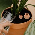 thumbnail image 4 of WRISTBIQUE 4Ud Macetas De Barro Para Plantas Pequeñas Con Práctico Y Decorativo, 4 of 6