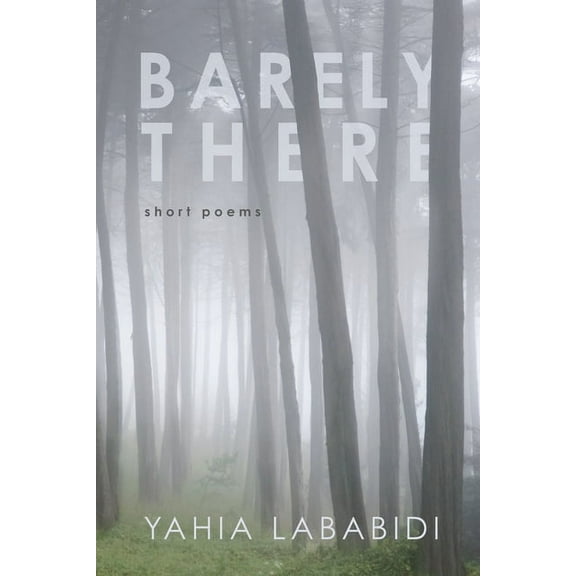 Barely There (Paperback)