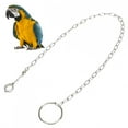 thumbnail image 4 of Cadena Para Pie De Loro Grande, Tobillera Segura A Prueba De Herrumbre Para Entrenamiento De Loros, Paloma Alexander Para Loros Grandes, Loro Gris, Keck De Monje De Sol Dorado, 4 of 8