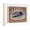 White Frame, variant on Art.com 24-Cent U.S. Postage Stamp with an Inverted Jenny Art Print, Black Frame Wall Art, 29" x 23"