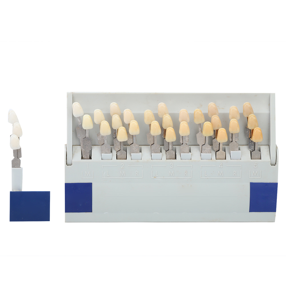 Shade Guide Teeth Shade Guide 29 Color 3D Shade Guide Teeth Shade Guide