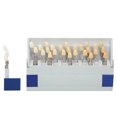 thumbnail image 1 of Guía de tonos, 29 colores Guía de tonos dentales dentales 3D Comparador de colores dentales Salida de alta intensidad, 1 of 5