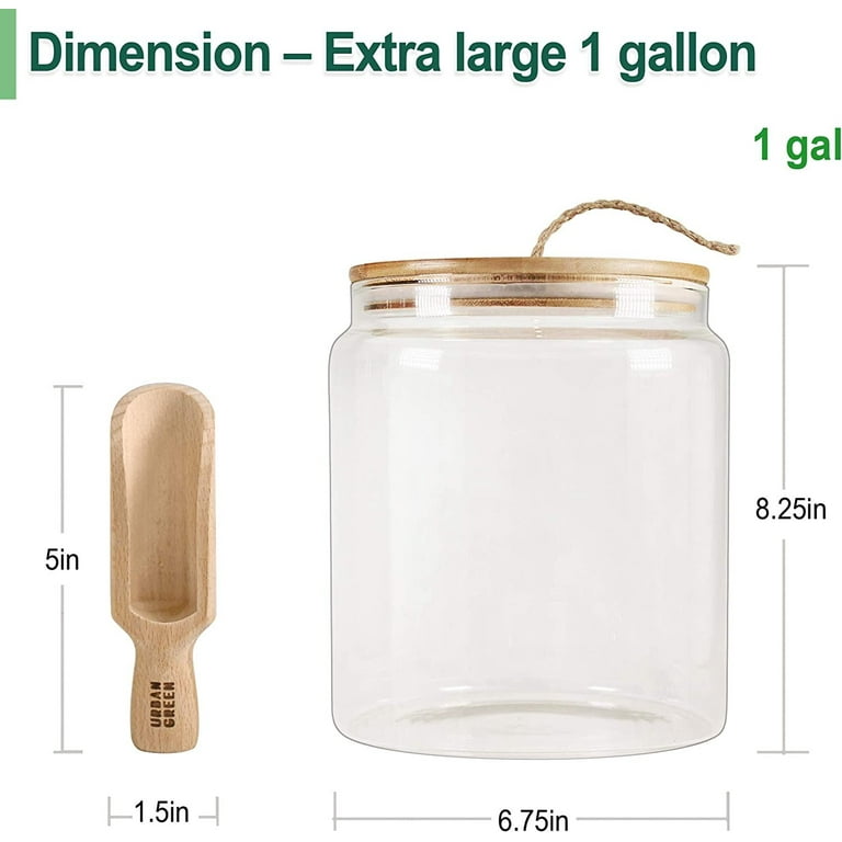 Glass Jar with Bamboo Lids 1 Gallon Urban Green, Glass Airtight food Storage  Containers, Glass Canister set, Glass storage containers with lids, Flour  Jars, Glass PantryJars 1gal -1pcs 