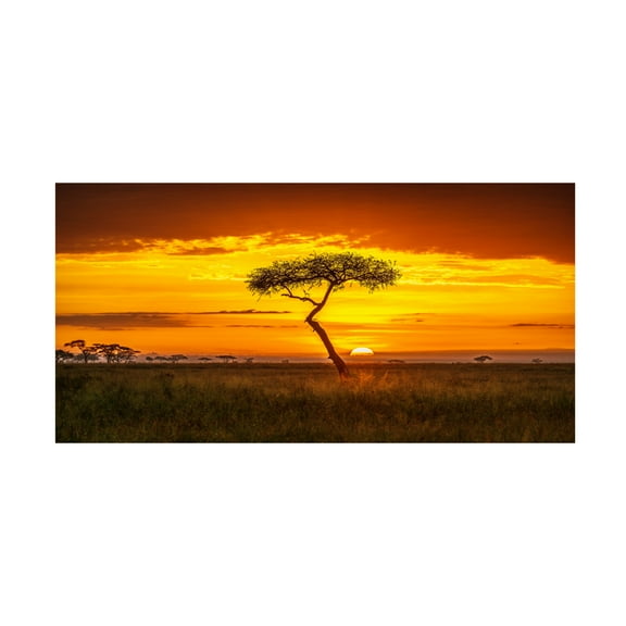 Canvas Wall Art - Jeffrey C. Sink 'Primordial Africa' Wall Art for Living Room, Bedroom, or Office Décor by Trademark Fine Art - 19 x 10 Inches