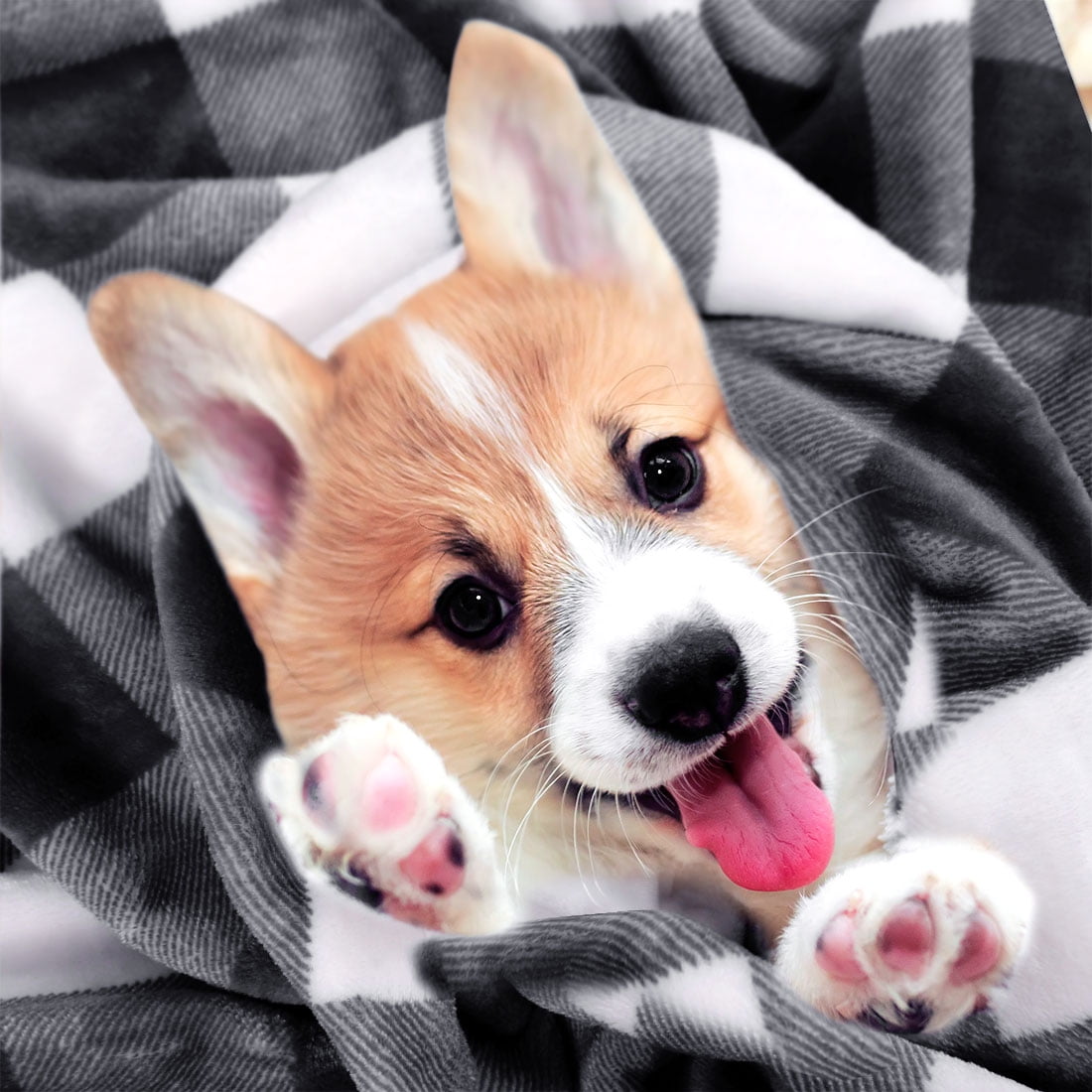 Plaid Soft Plush Fleece Blanket for Sofa Couch Bed, 30" x 40", Black and White